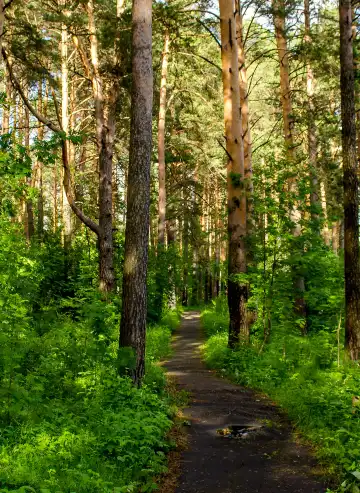 Hoteles cerca de Tiger Mountain Trail