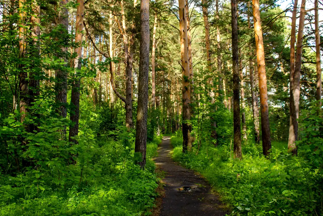 Hotel in zona Tiger Mountain Trail