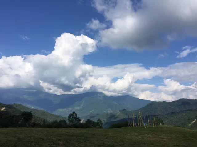 Shenmulei