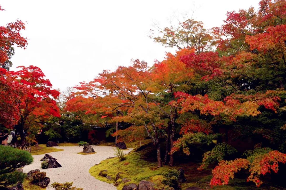 仙台紅葉 | 松島