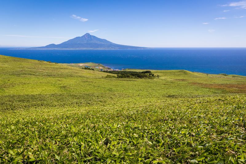 禮文島