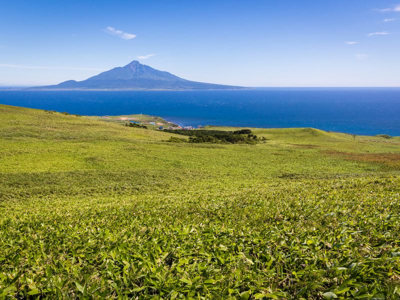 禮文島