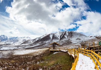 阿咪東索景区