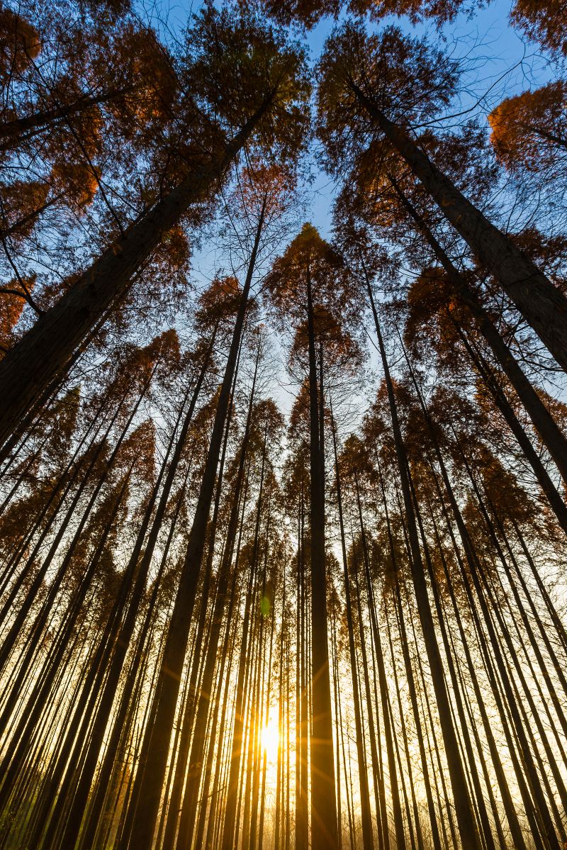 Tianquanhu Scenic Area