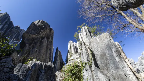 玉石林風景區