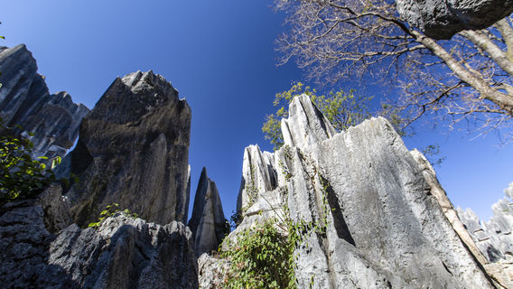 Hezhou