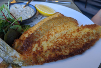 FLYING FISH User Photo