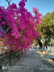 Ruili Tourism Pedestrian Street