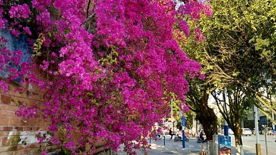 Ruili Tourism Pedestrian Street