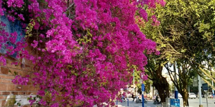 瑞麗旅遊步行街