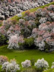 China Fushou Mountain Scenic Area