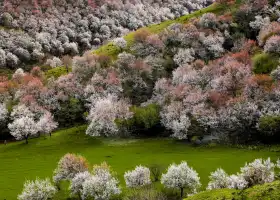 China Fushou Mountain Scenic Area