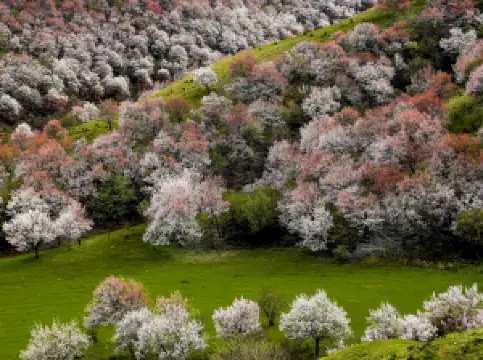 中華福壽山景區