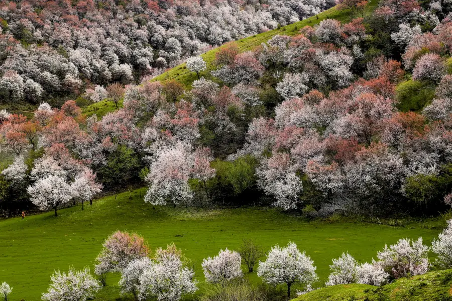 China Fushou Mountain Scenic Area