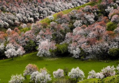 China Fushou Mountain Scenic Area