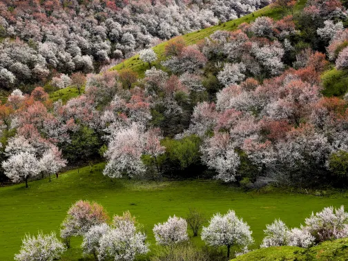 中華福壽山景區