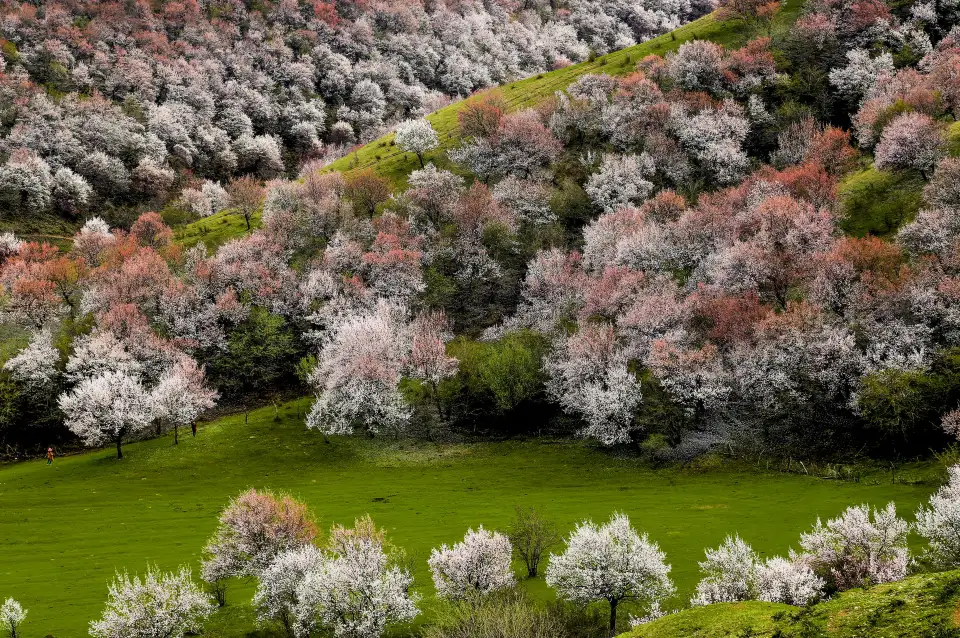 4_China Fushou Mountain Scenic Area