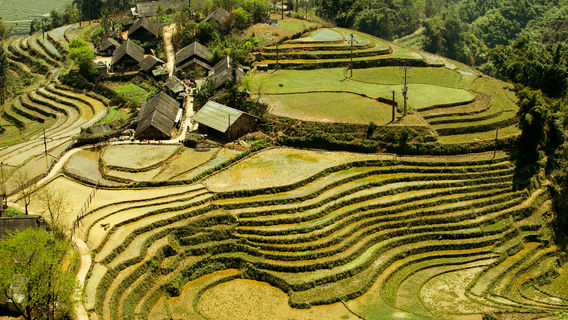 Hanamiyama Shin No Tegamikan