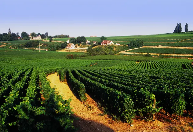 Hotels in Mendocino County With Spas