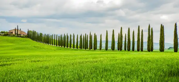 Hotels in Cypress