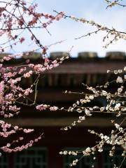 林陽寺