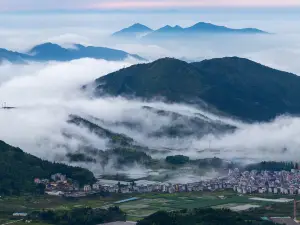 周寧仙鳳山省級森林公園