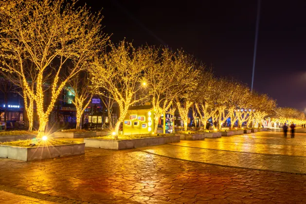 Hotel Holiday Inn di Nanjing