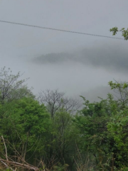 Huangmao Peak Forest Park