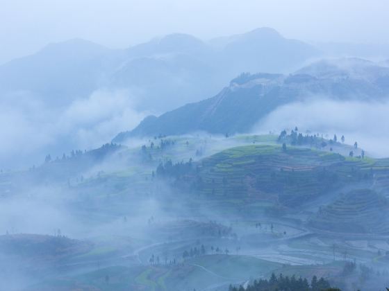 茗嶴鄉