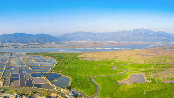 Zhangzhou Undersea Forest