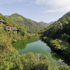 Ninghai Anhui Linhuge User Photo