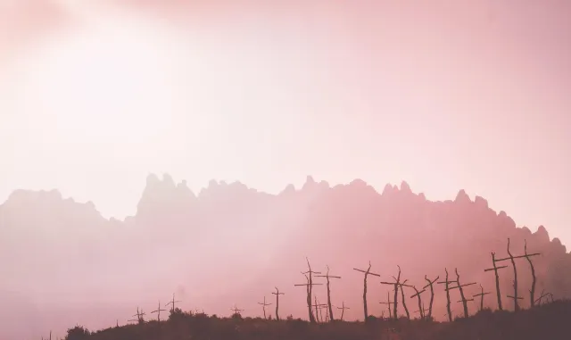 The burnt trees beneath Montserrat Mountain look like old headstones