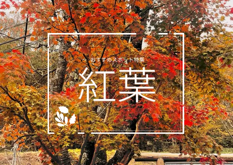 紅葉情報 日本全国/海外の名所やおすすめスポット🍁