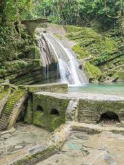 Las pozas池塘