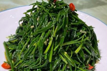 Guoqiangshouzhua (shifulu)