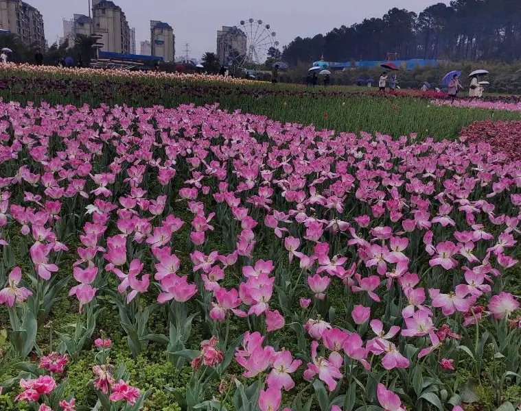 Xiangnan Botanical Garden