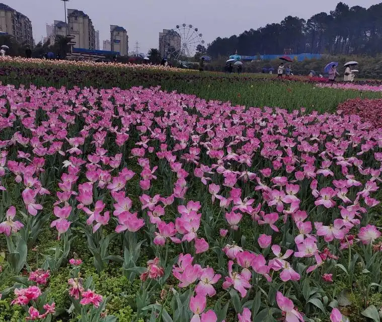 샹난 식물원 주변 호텔