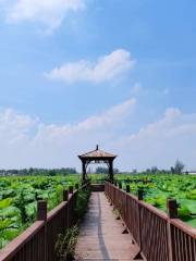 Sanchahe National Wetland Park