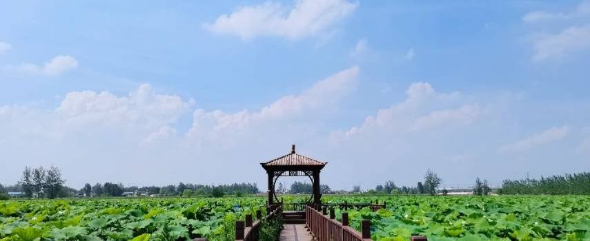 Sanchahe National Wetland Park