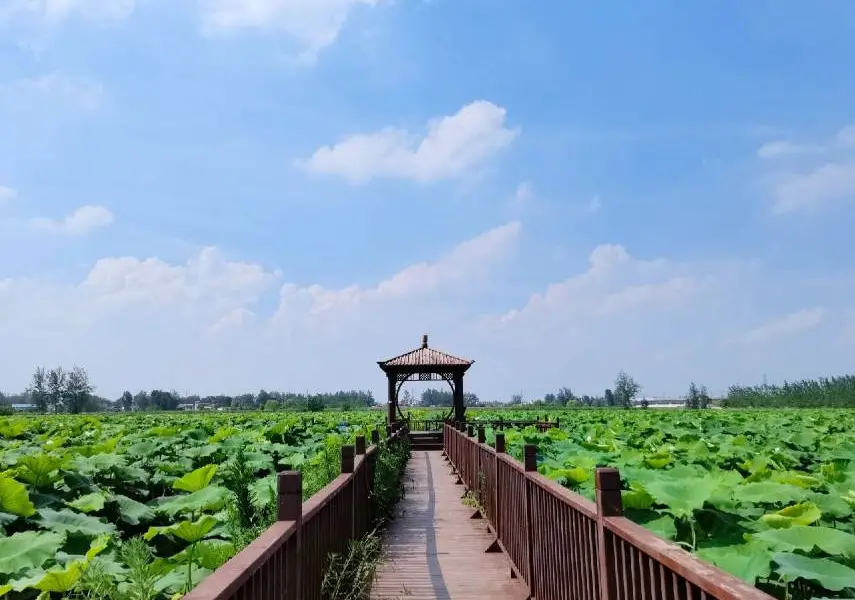 Sanchahe National Wetland Park