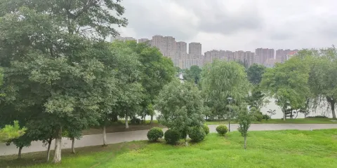 漣漪湖黃嘴白鷺省級自然保護區