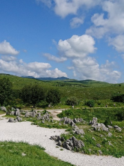 Akiyoshidai Quasi-National Park