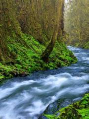 Clackamas River