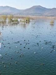 Национальный водно-болотный парк Данцзян