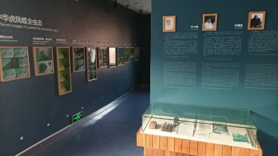 Nanjing Zhonghua Hufengdie Ziran Museum