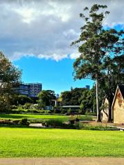 Cadigal Green, University of Sydney