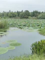 盱眙縣新華村城市桃園主題公園