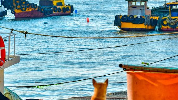 ji shan dao lv you jing qu - guan hai tai