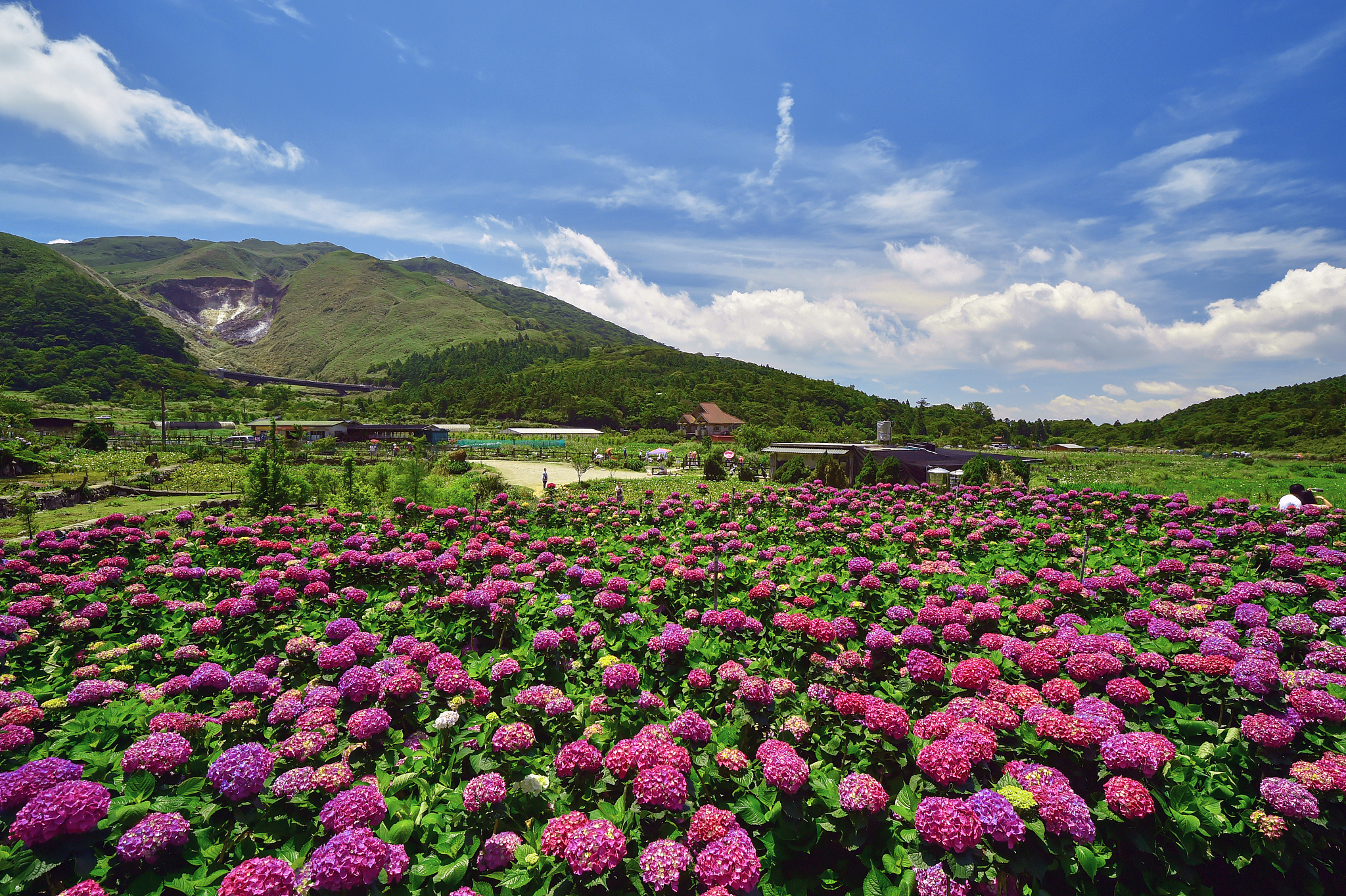 Yangmingshan National Park