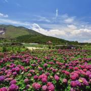 กิจกรรมกลางแจ้ง